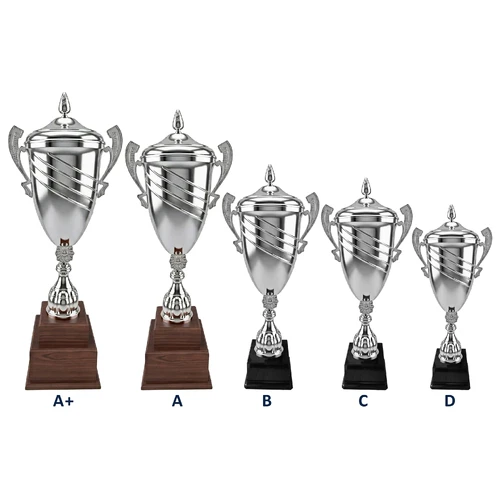 Copa Fierro16