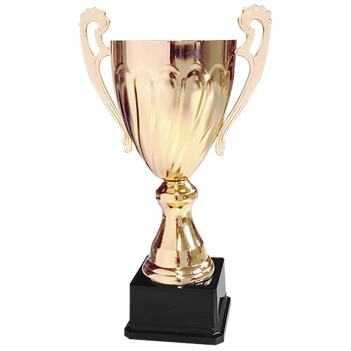 Copa CY 2013